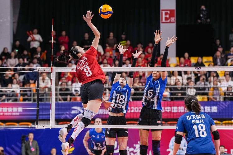 在线观看2026年世界杯女排赛视频直播的精彩瞬间 在线观看2026年世界杯女排赛视频直播的精彩瞬间